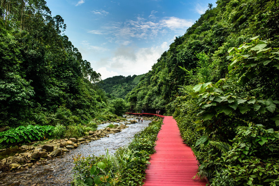 別致的塑木棧道，別致的風(fēng)景